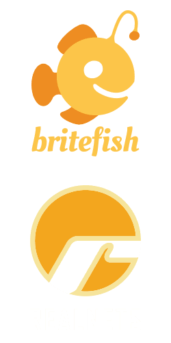 Britefish + Realnets, chicago digital marketing agency, chicago ppc agency, chicago seo agency, chicago marketing firm, park ridge il marketing agency